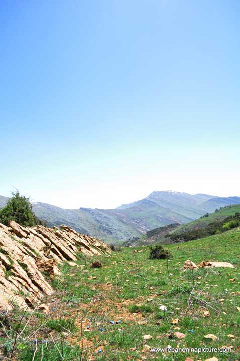 Chouf Bioshphere Reserve Niha Fort