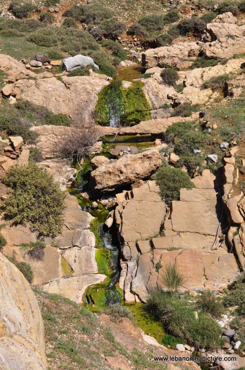 Chouf Bioshphere Reserve Niha Fort