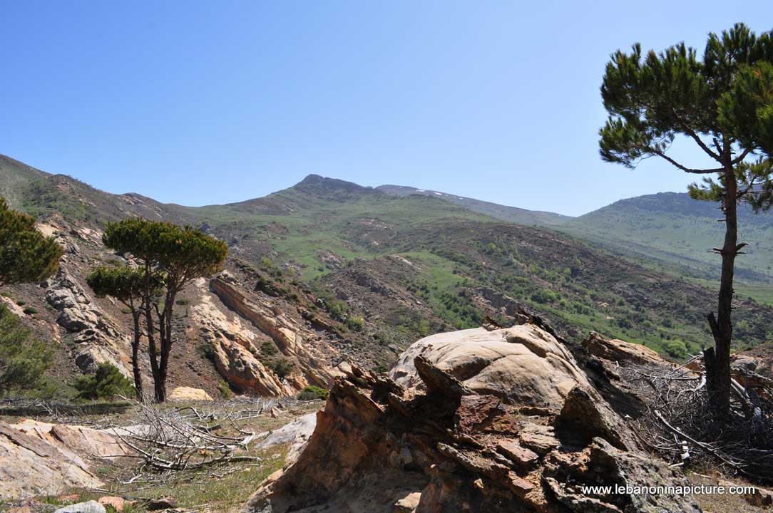 Chouf Bioshphere Reserve Niha Fort