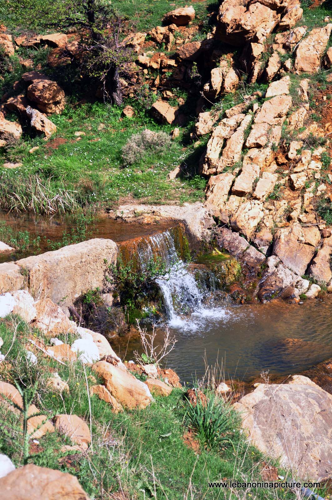 Chouf Bioshphere Reserve Niha Fort