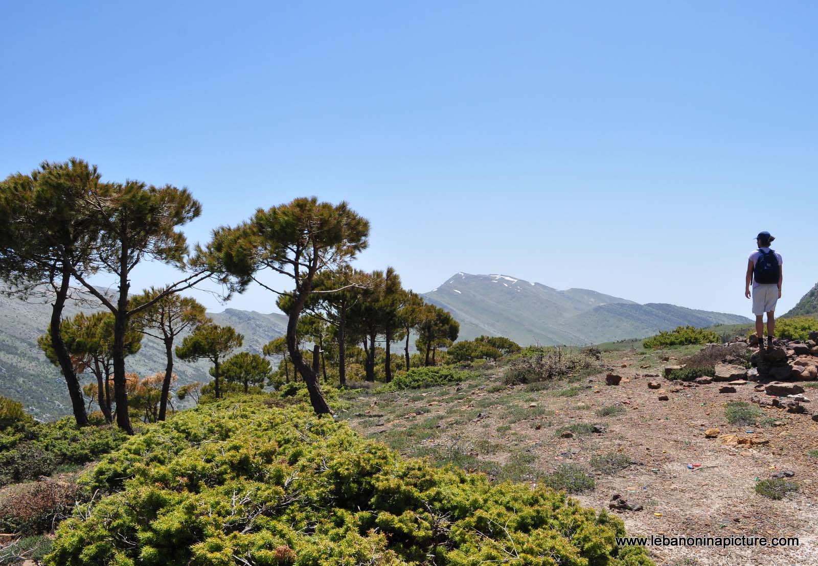 Chouf Bioshphere Reserve Niha Fort