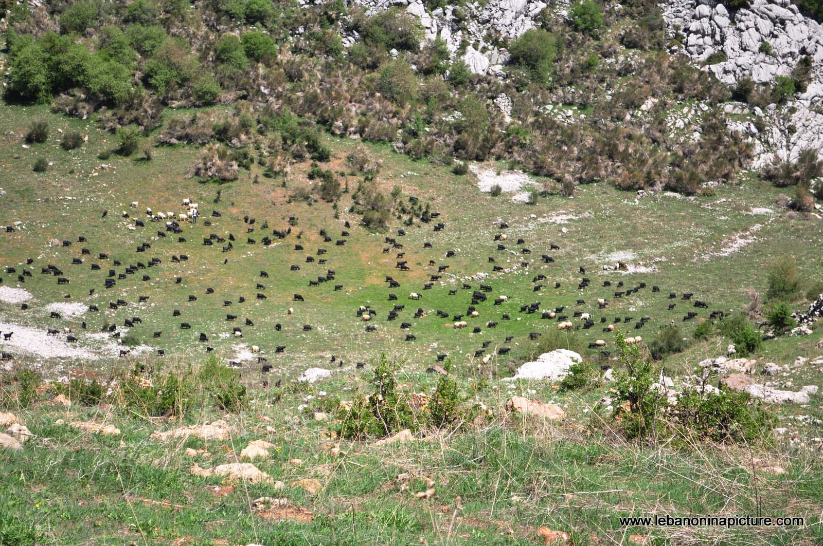 Chouf Bioshphere Reserve Niha Fort