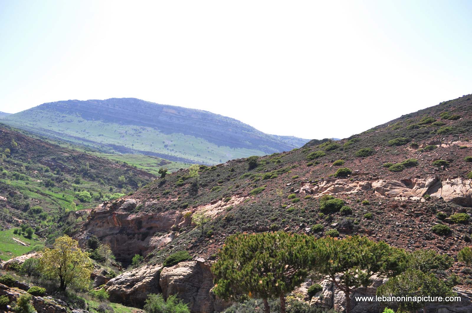 Chouf Bioshphere Reserve Niha Fort