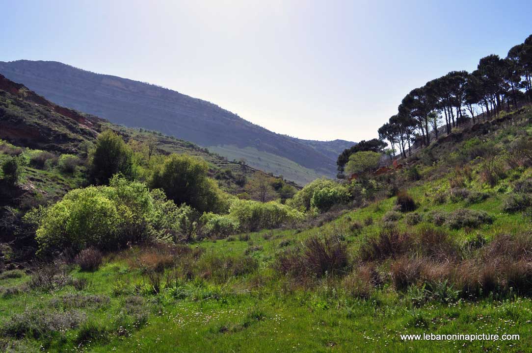 Chouf Bioshphere Reserve Niha Fort