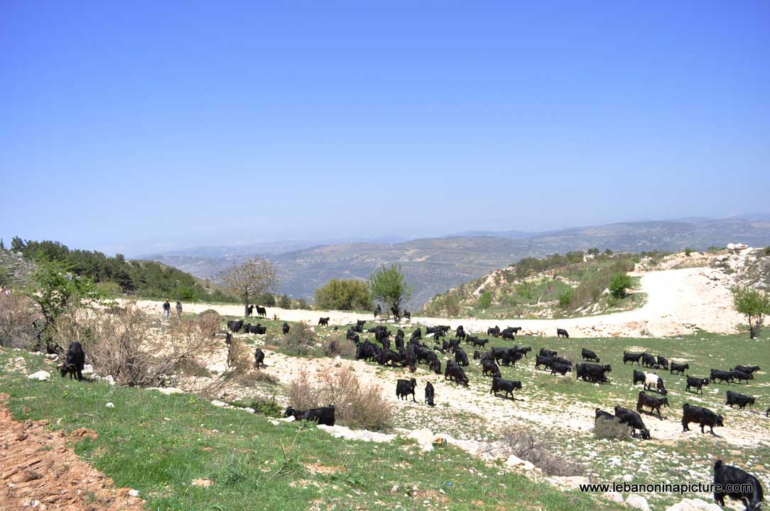 Chouf Bioshphere Reserve Niha Fort