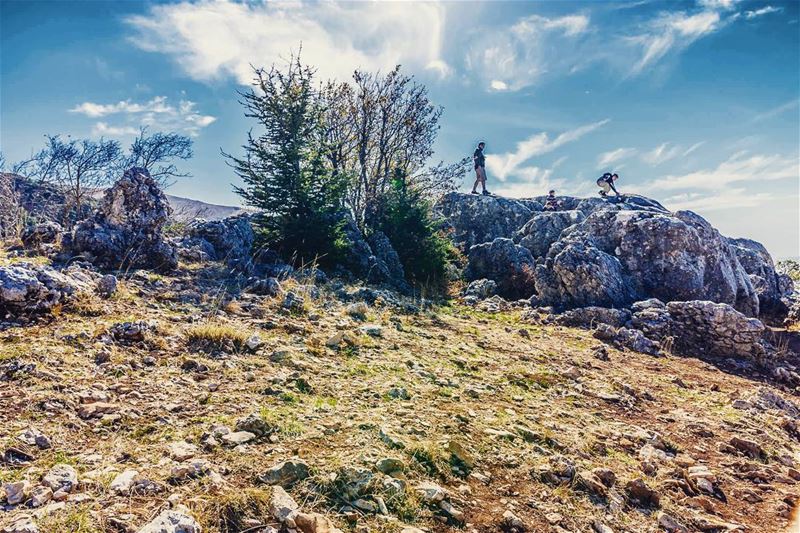 Chouf Cedars__________________________________________... (Al Shouf Cedar Nature Reserve)