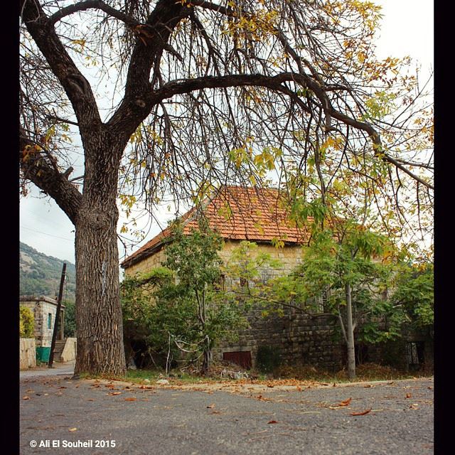  chouf  old  lebanese  traditional  house  tree  lebanon  colorful ... (Baadarâne, Mont-Liban, Lebanon)