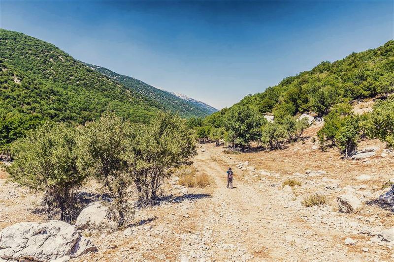 Chouf Reserve, Lebanon lebanon  hiking  nature  outdoors  livelovelebanon... (Arz el Bâroûk)