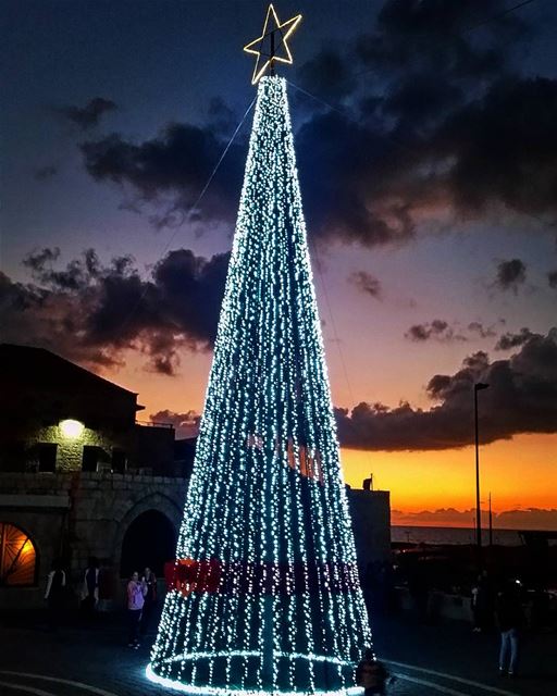 Christmas Tree and Decorations Batroun 2016 (Batroûn)