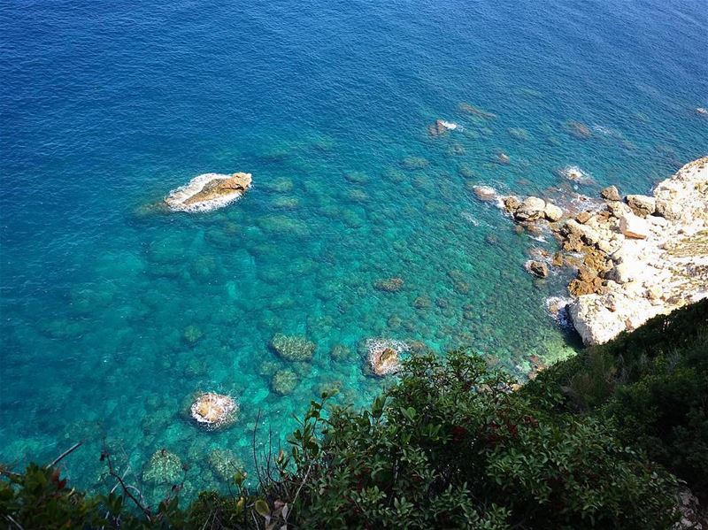 Clear blue water 😍By @sj.in.mtl  Chekka  Liban  Libano  Lebanon... (Chekka)