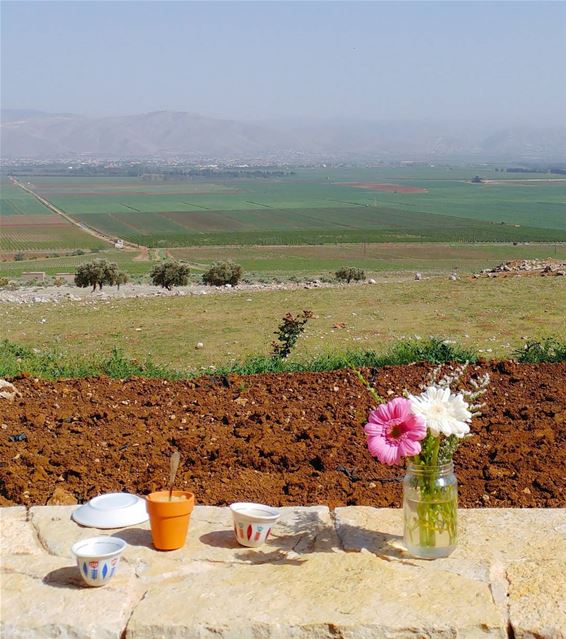 Coffee time 🌸🕔⛰️ (Tawlet Ammiq)