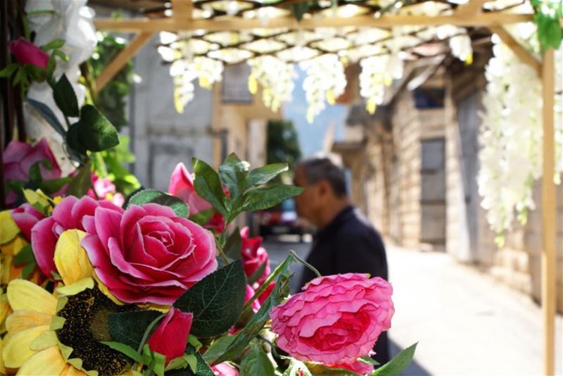 coincidental frame 💐 (Douma, Liban-Nord, Lebanon)