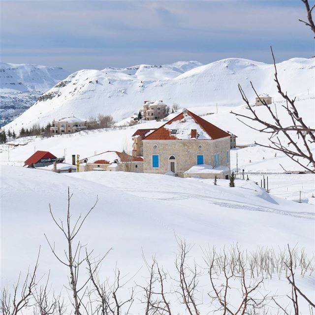 Cold Season In A Warm House ❄🏠 (Laklouk)