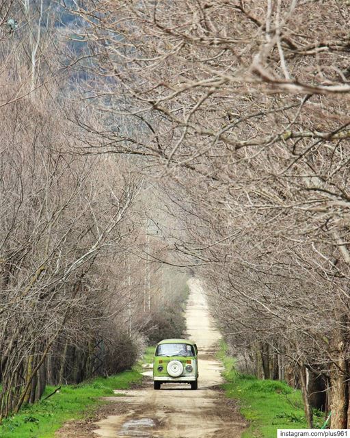 Cold, Wild & Free ☁️ (West Bekaa)