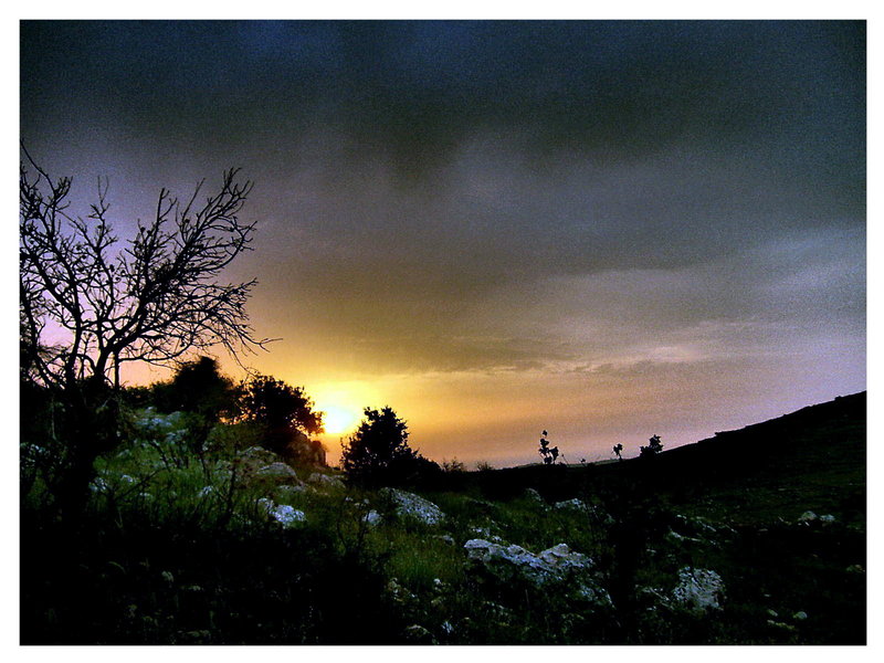 Collection of Images from Yaroun Taken by Moussa Habanbo