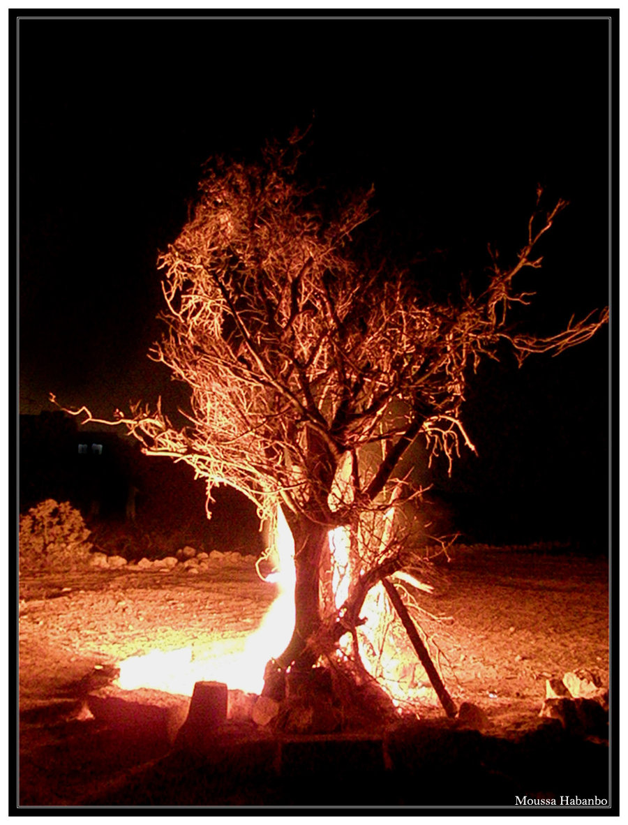 Collection of Images from Yaroun Taken by Moussa Habanbo