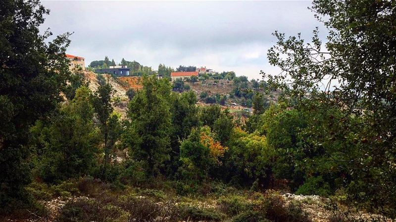 Colorful Morning 🌳🍁🍃 morning  wednesday  nature  autumn  season  view ... (Ghosta, Mont-Liban, Lebanon)