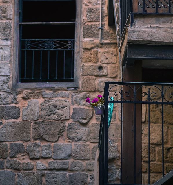 Come let us take our fill of love until the morning just like this flower � (Saïda, Al Janub, Lebanon)