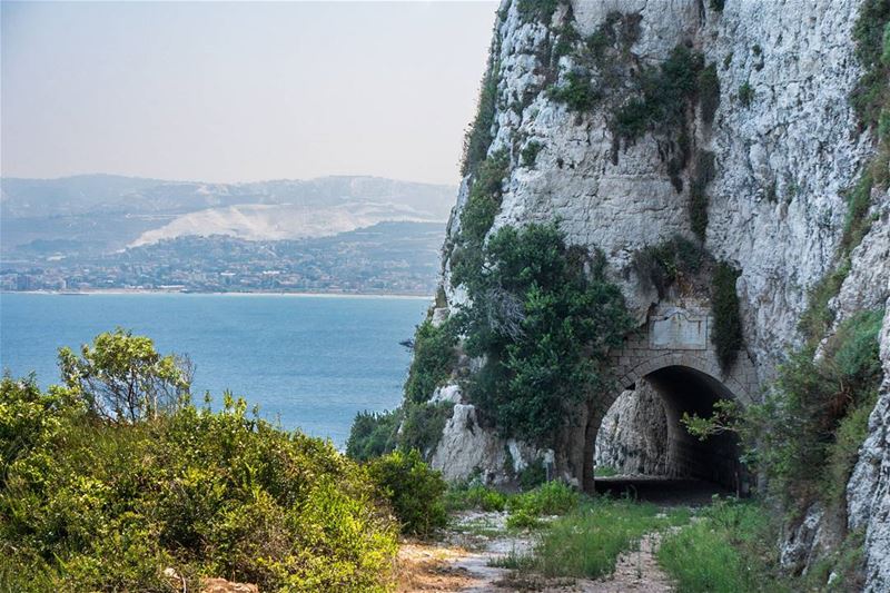 Constructive versus destructive interventions  lebanon ... (Chekka)