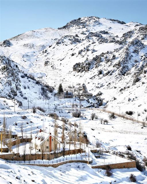 Coolest Backyard... Don't you agree? ☃️..... lebanon  winter  snow ... (Ehmej, Mont-Liban, Lebanon)