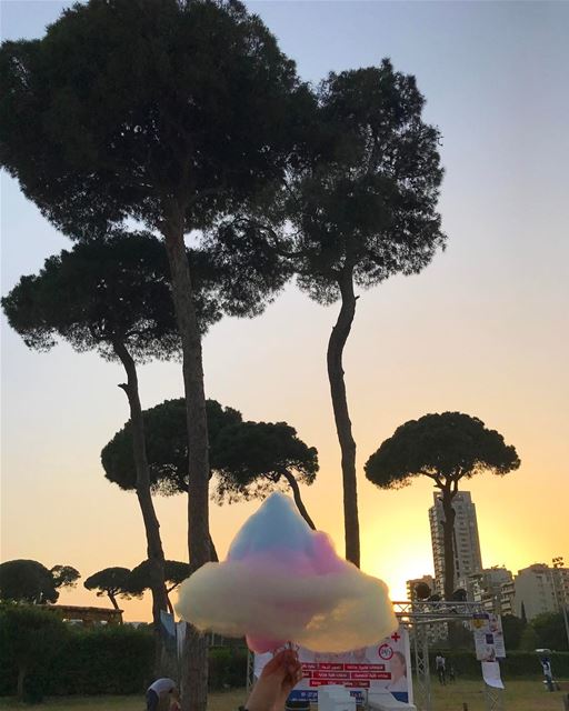 Cotton candy with this amazing view🍡🌅🌳 (Hippodrome Du Parc De Beyrouth)