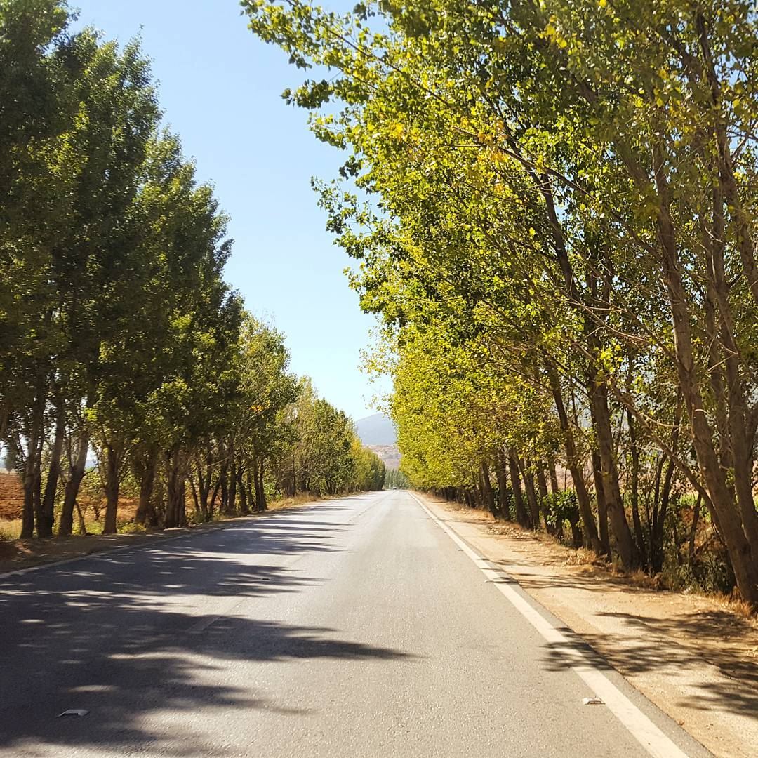 Country roads take me homeTo the place i belong 🍁 (Bekaa valley)