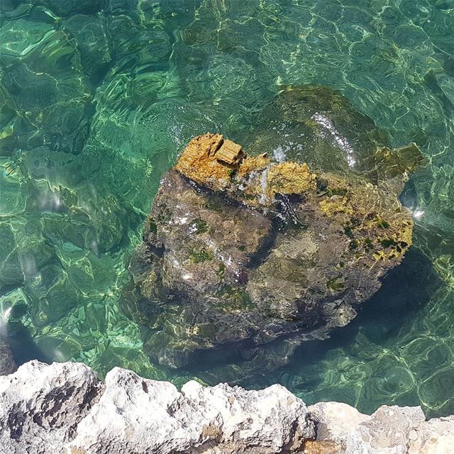 Crystal clear sea!  loves_lebanon  super_lebanon   ig_lebanon ... (Ta7t El Ri7 - Anfeh)