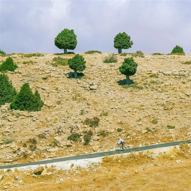 Cycling the "Lezeb road" (`Akkar, Liban-Nord, Lebanon)