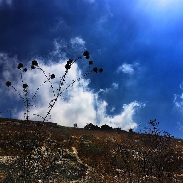  Dalhoun  nature  lebanon  blue  sky  clouds ...