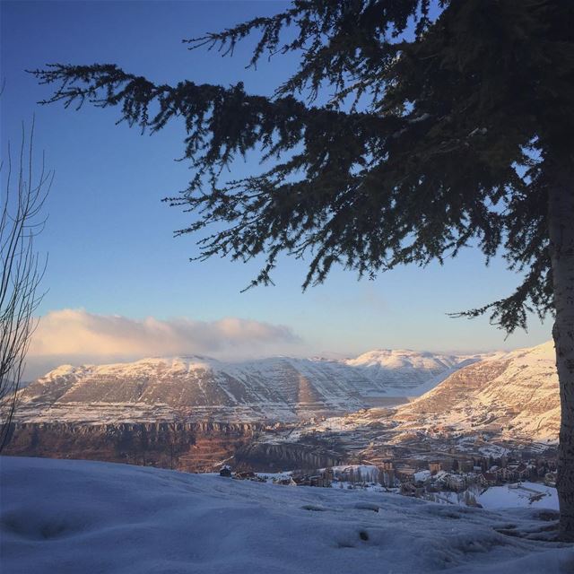 Dear Leb❄️💎❄️💎❄️💎  lebanon  livelovelebanon  faraya  mountains ... (Faraya Mzaar)