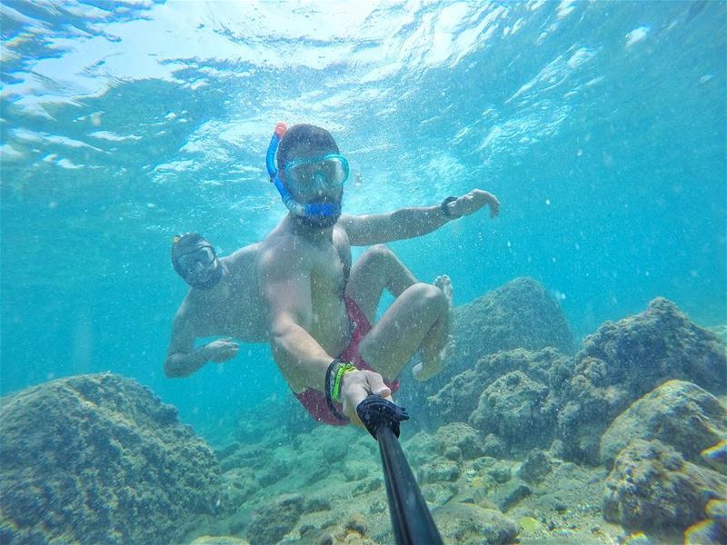 Did you find the 🐢!?!?