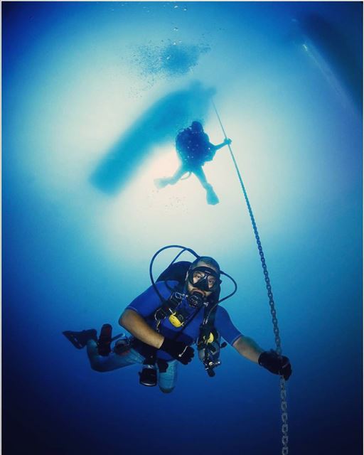  diving lifebeginsbelowzero fromwhereidive blue divesoft freedom...