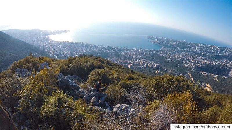 🌳 (Dlebta, Mont-Liban, Lebanon)