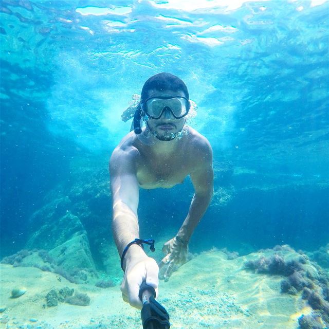 Do you believe in mermaids?  livelovebeirut  yallagopro 🐠