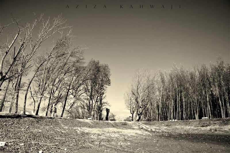 Don't ever let the light of your soul dim, even if the world seems black... (Deïr Taanâyel, Béqaa, Lebanon)