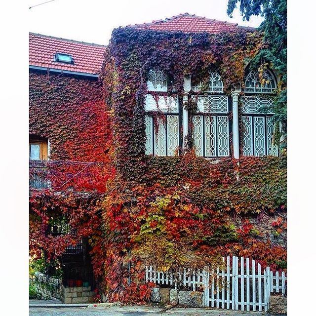 Douma Beautiful House,