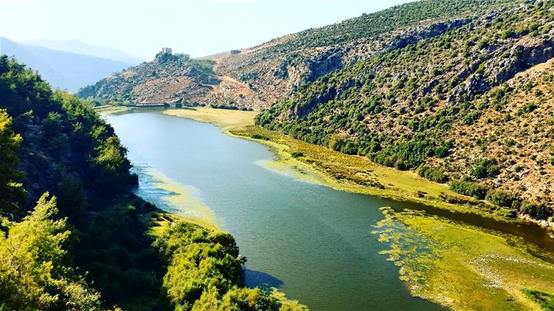 Down by the lakeside.  lebanon  Beirut  ouyounalsamak  lake  love  nature ... (Ouyoun Al Samak)