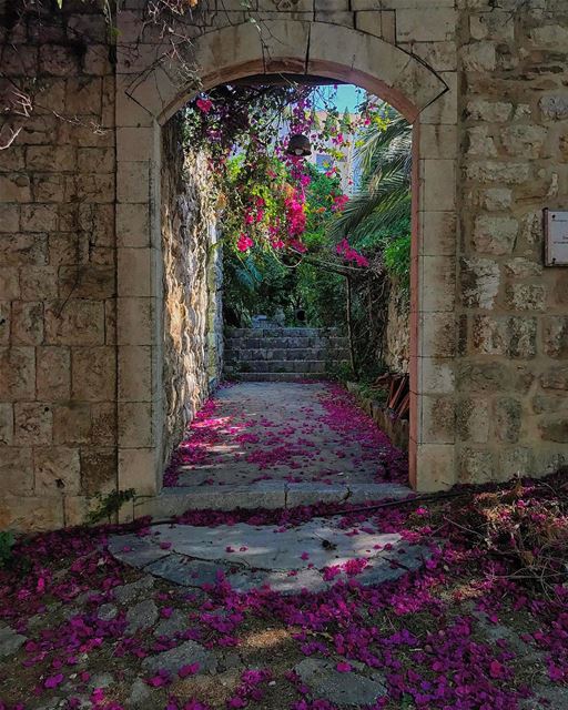 Down🌺• lebanonhouses  livelovelebanon  livelovebeirut  beiruting ... (Zouk Mosbeh)