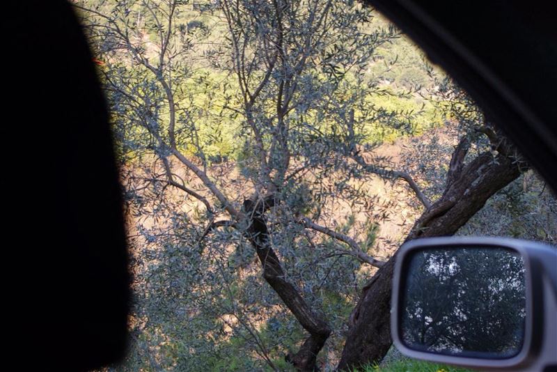 driving with no destination in... (Jezzine District)