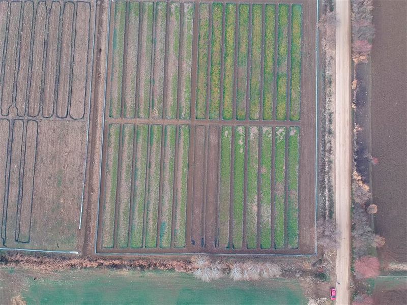  dronephotography dronstagram dronefly takenbywissamalhoury... (`Ammiq, Béqaa, Lebanon)