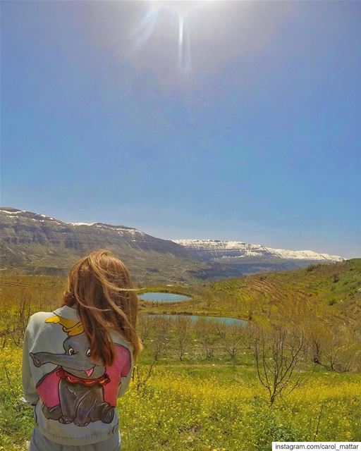 Dumbo’s enjoying the sun 🐘 (Akoura, Mont-Liban, Lebanon)