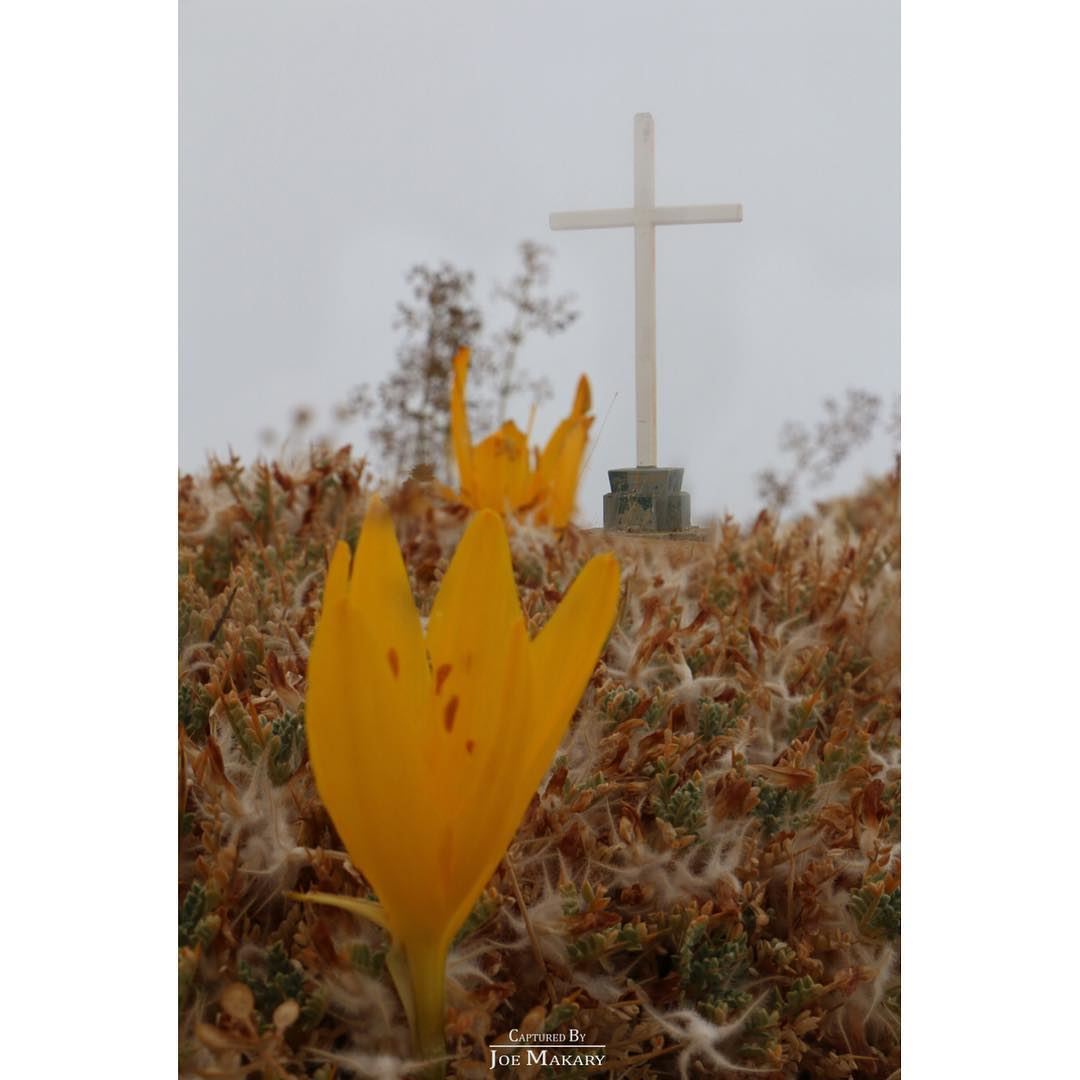  ehden  cross  flower  beautifullebanon  livelovelebanon  ig_lebanon ...