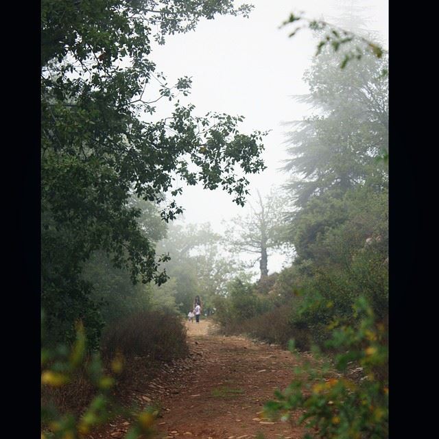  ehden  forest  hiking  lebanon  colorful  instagramhub  instalove ...