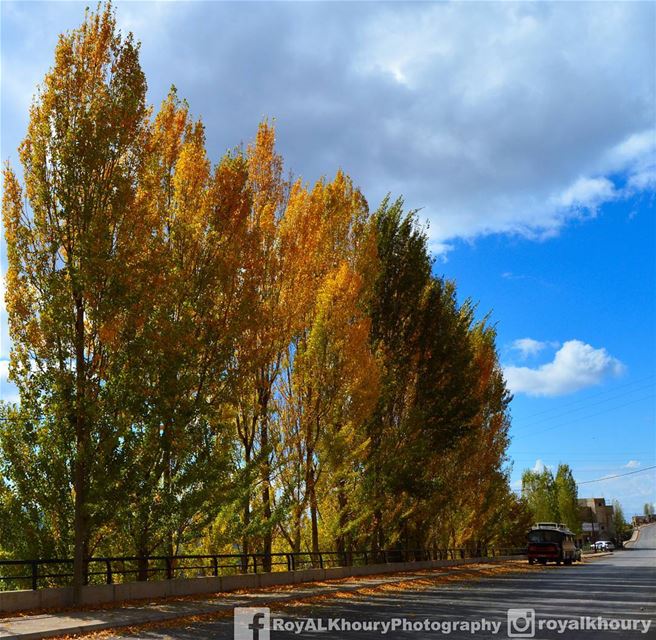  ehden  liveloveehden  lebanon ... (Ehden, Lebanon)