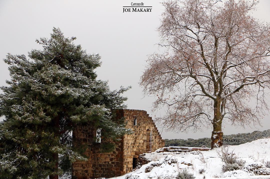  ehden  oldhouse  trees  snow  winter  clouds  beautifullebanon ...
