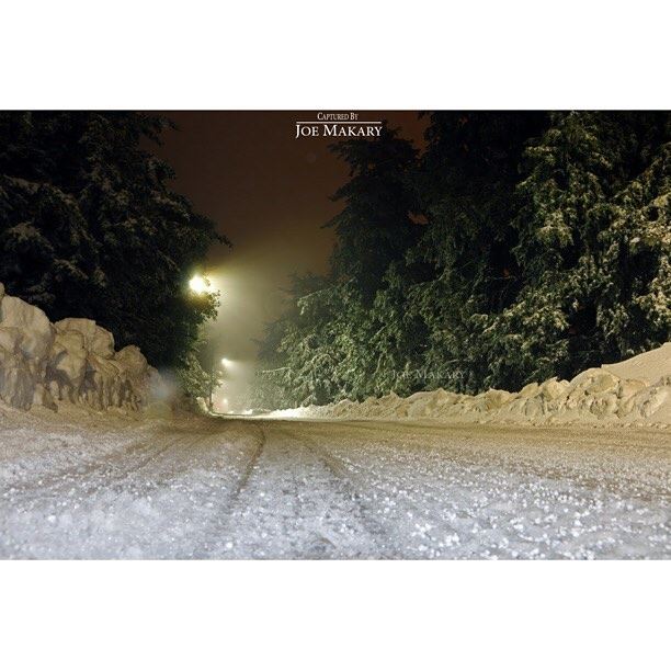  ehden  snow  night  light  ice  trees  beautifullebanon  thebestinlebanon...