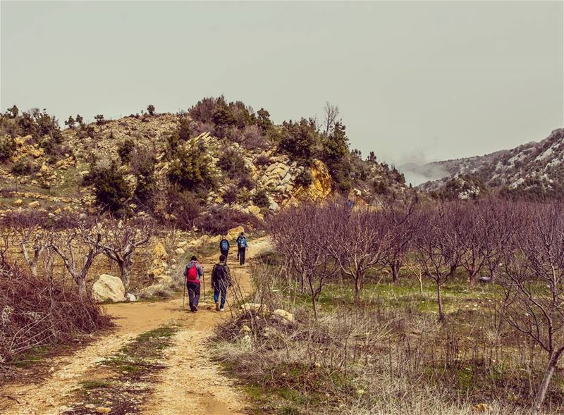 Ehmej (Ehmej, Mont-Liban, Lebanon)