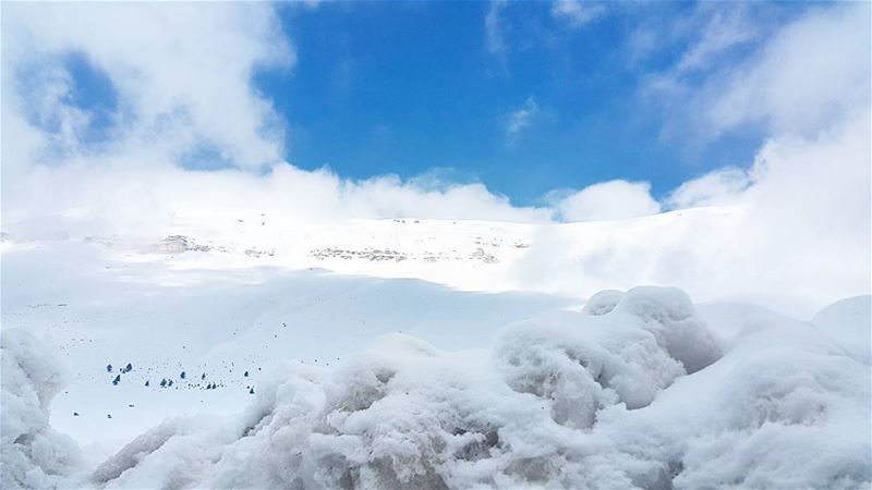 💙 (El Arz, Liban-Nord, Lebanon)