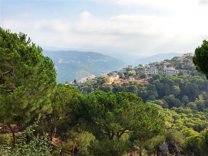 Endless beauty 🌿🌿🌿 (Broummâna, Mont-Liban, Lebanon)