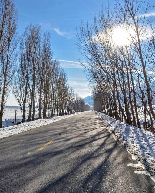 Estrada no Vale do Bekaa cercada por neve e sob um profundo céu azul,... (`Ammiq, Béqaa, Lebanon)